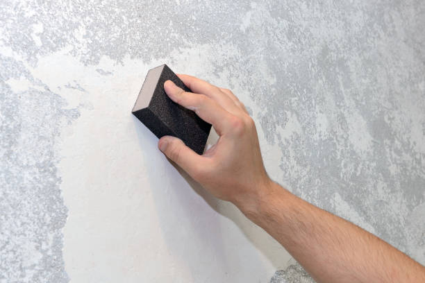 Mold Documentation for Insurance Claims in South Woodstock, CT