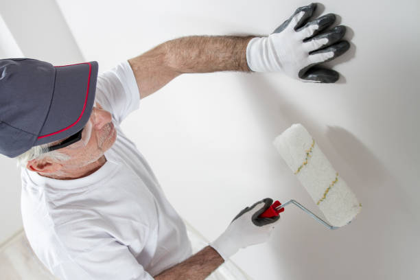 Best Attic Mold Removal  in South Woodstock, CT