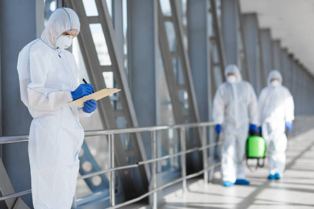 Mold Odor Removal Services in South Woodstock, CT