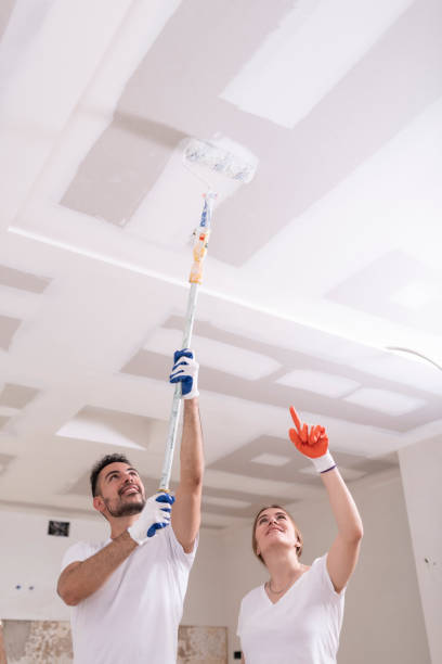 Best Mold Prevention Services  in South Woodstock, CT