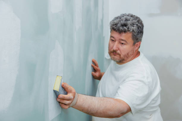 Best Mold Remediation for Healthcare Facilities  in South Woodstock, CT