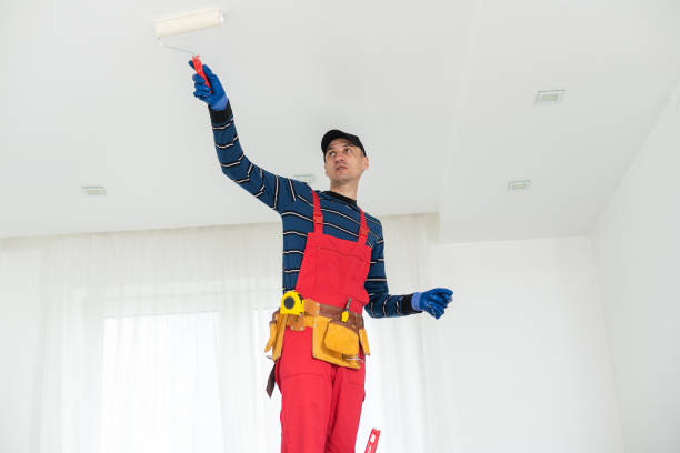 Best Real Estate Mold Inspection  in South Woodstock, CT