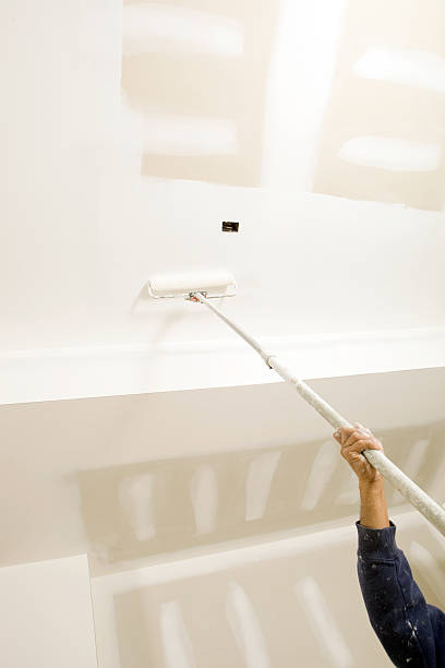Professional Mold Removal in South Woodstock, CT