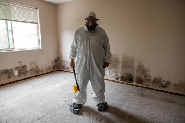 Best Commercial Mold Inspection  in South Woodstock, CT