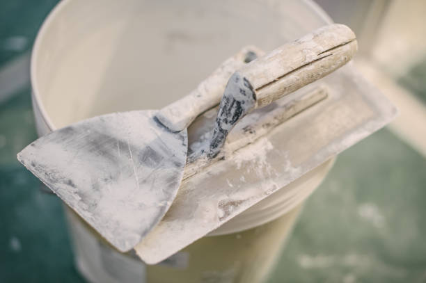 Best Real Estate Mold Inspection  in South Woodstock, CT