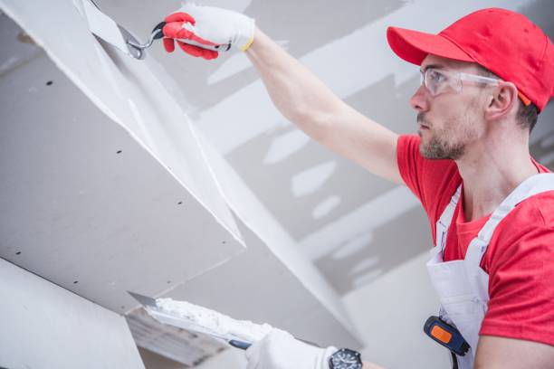 Best Mold Documentation for Insurance Claims  in South Woodstock, CT